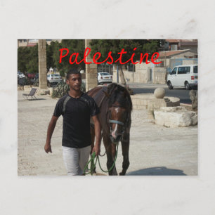 Palestinian Knight Postcard