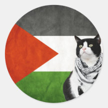 Palestinian Kufiya Wearing Cat Palestine Flag