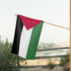 Palestinian Weathered House Flag
