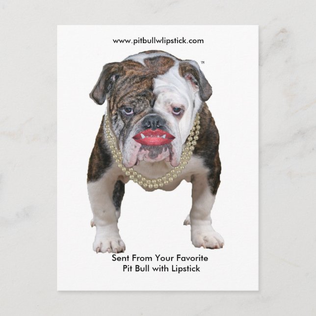 Palin Pit Bull with Lipstick Postcard (Front)