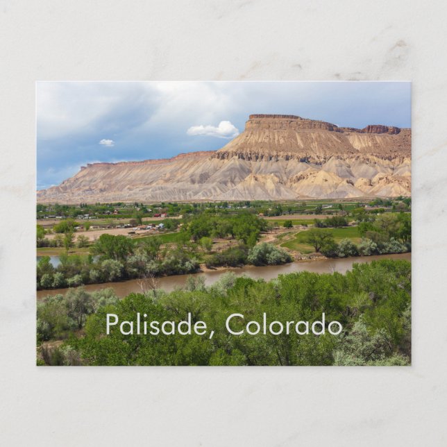 Palisade, Colorado Postcard (Front)