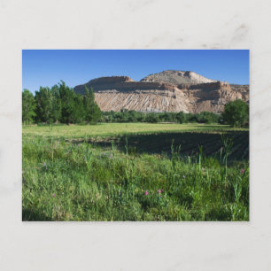 Palisade Farm Postcard
