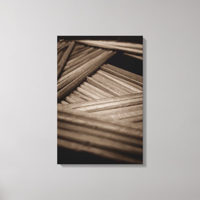 PALITES Ppass Canvas Print (Front)
