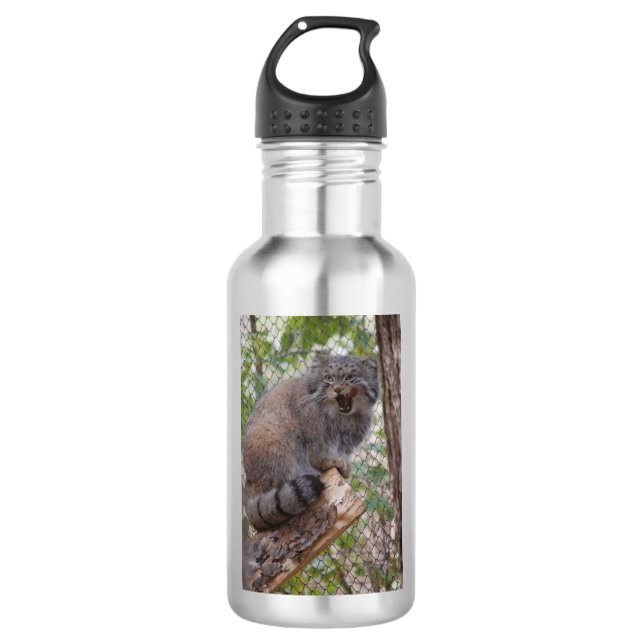 Pallas Cat Water Bottle (Front)