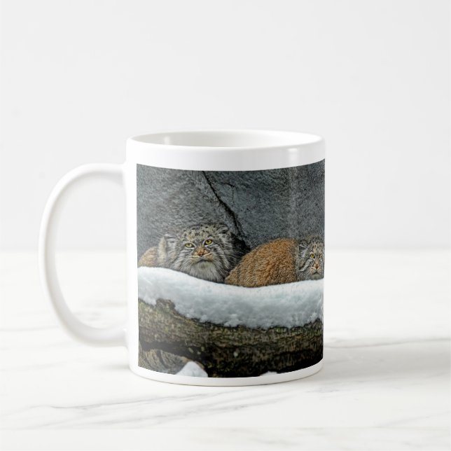Pallas Cats Snow Mug (Left)