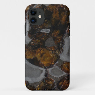 Pallasite iPhone 11 Case