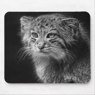 Pallas's cat portrait mouse mat