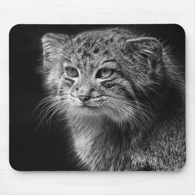 Pallas's cat portrait mouse mat (Front)