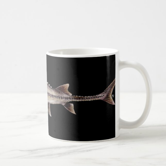 Pallid Sturgeon - Scaphirhynchus albus Coffee Mug (Right)