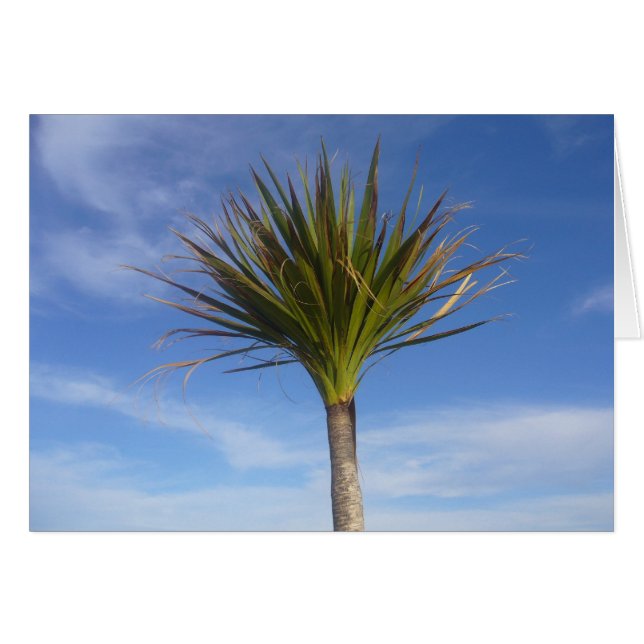 palm (Front Horizontal)
