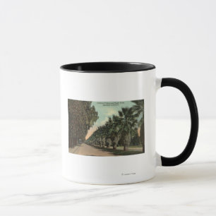 Palm and Pepper Trees Alongside Avenue Mug