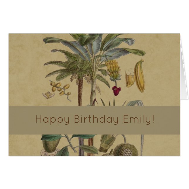 Palm Antique Tropical Fruit Botanical Art (Front Horizontal)