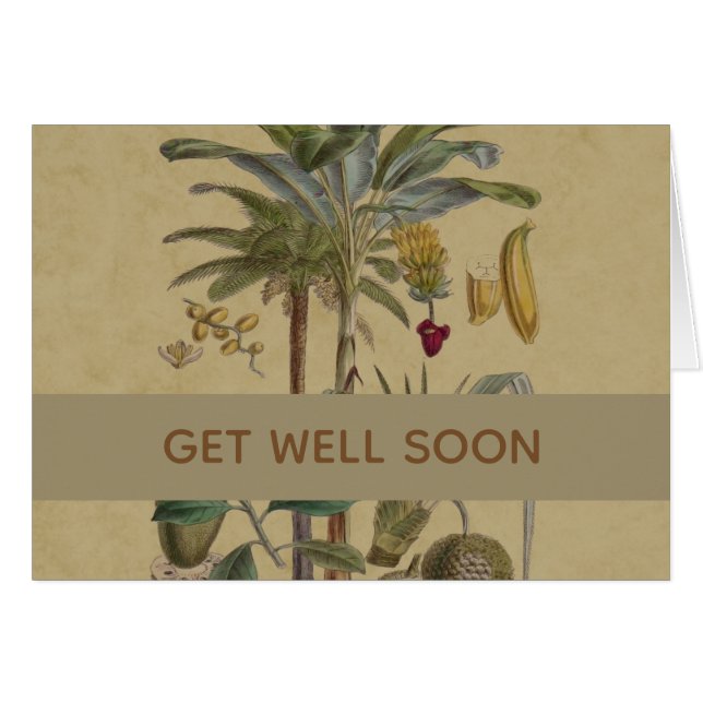 Palm Antique Tropical Fruit Botanical Art (Front Horizontal)