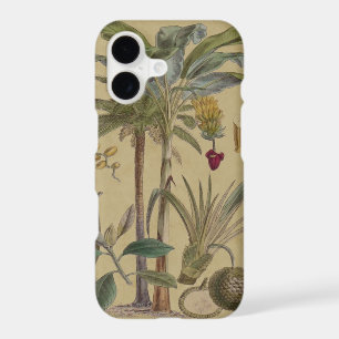 Palm Antique Tropical Fruit Botanical Art