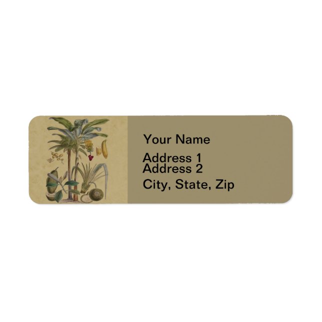 Palm Antique Tropical Fruit Botanical Art (Front)