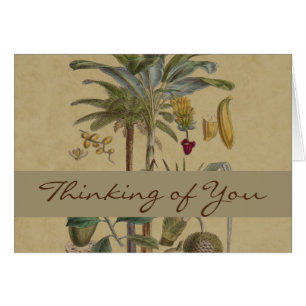 Palm Antique Tropical Fruit Botanical Art