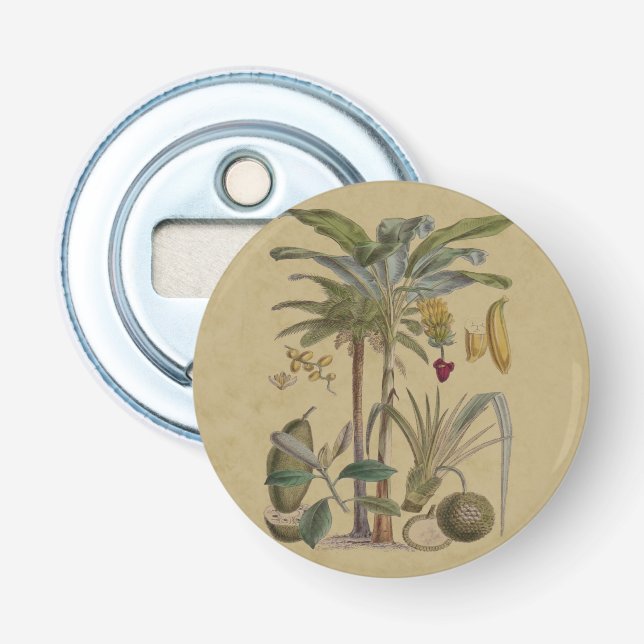 Palm Antique Tropical Fruit Botanical Art Bottle Opener (Front)