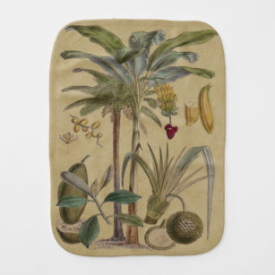 Palm Antique Tropical Fruit Botanical Art Burp Cloth