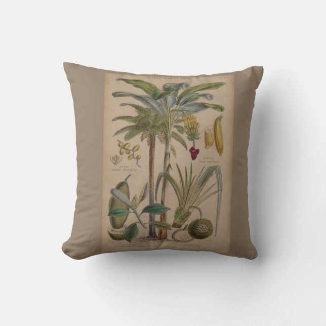 Palm Antique Tropical Fruit Botanical Art Cushion (Front)