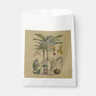 Palm Antique Tropical Fruit Botanical Art Favour Bags