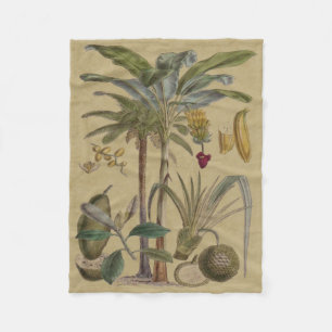Palm Antique Tropical Fruit Botanical Art Fleece Blanket
