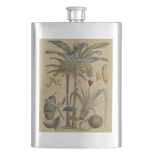Palm Antique Tropical Fruit Botanical Art Hip Flask (Front)