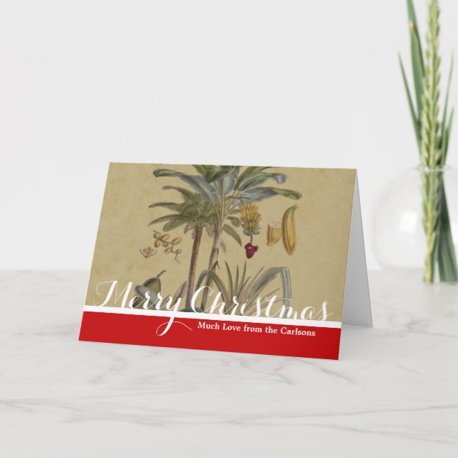 Palm Antique Tropical Fruit Botanical Art Holiday Card (Front)