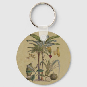 Palm Antique Tropical Fruit Botanical Art Key Ring