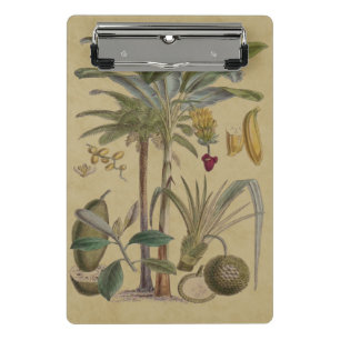 Palm Antique Tropical Fruit Botanical Art Mini Clipboard