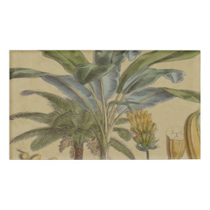 Palm Antique Tropical Fruit Botanical Art Name Tag