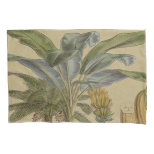 Palm Antique Tropical Fruit Botanical Art Pillowcase