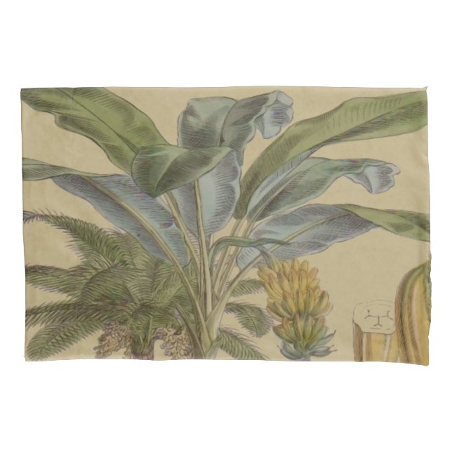 Palm Antique Tropical Fruit Botanical Art Pillowcase (Front)