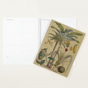 Palm Antique Tropical Fruit Botanical Art Planner