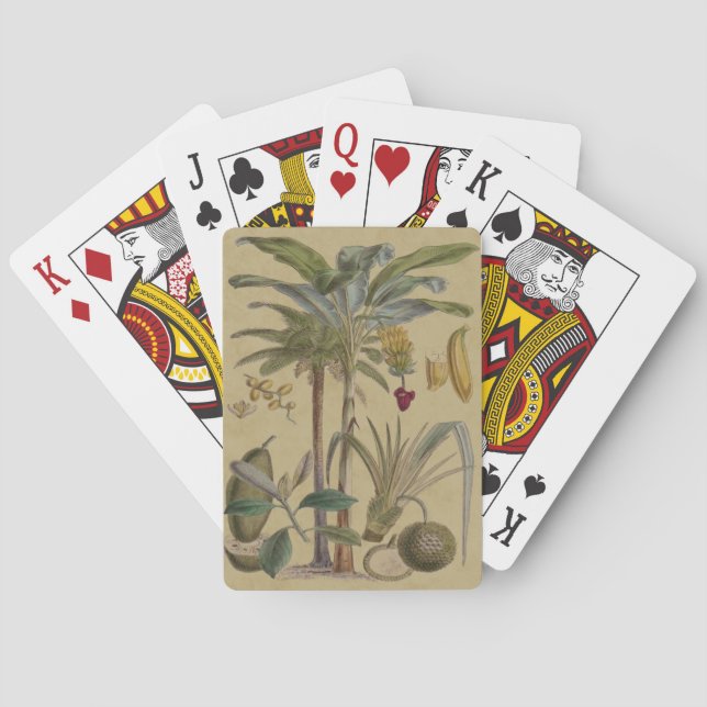 Palm Antique Tropical Fruit Botanical Art Playing Cards (Back)