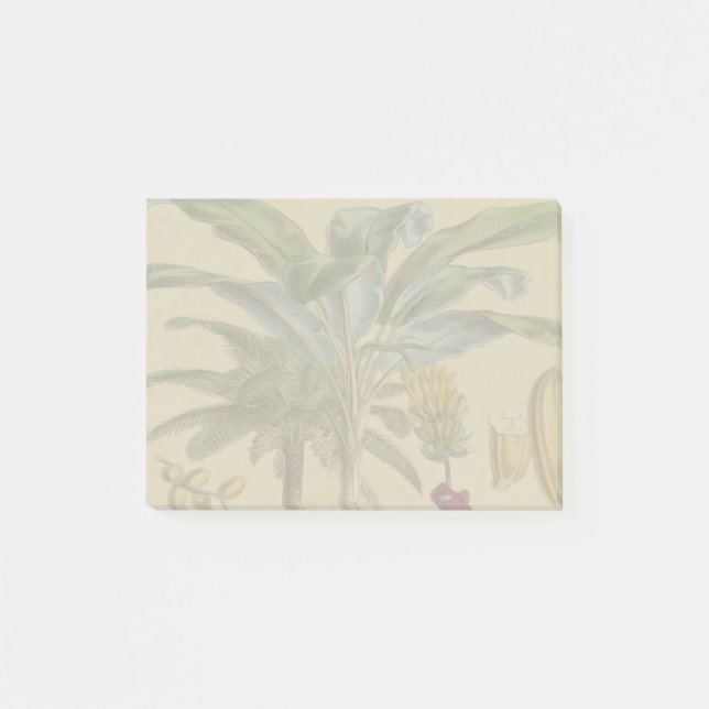 Palm Antique Tropical Fruit Botanical Art Post-it Notes (Front)