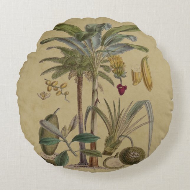 Palm Antique Tropical Fruit Botanical Art Round Cushion (Front)