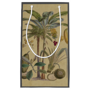 Palm Antique Tropical Fruit Botanical Art Small Gift Bag