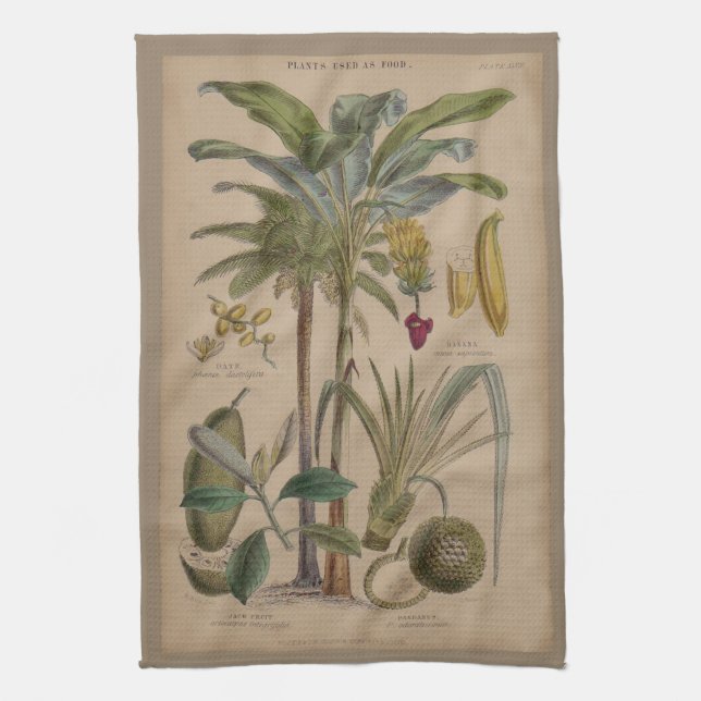 Palm Antique Tropical Fruit Botanical Art Tea Towel (Vertical)