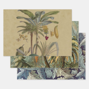 Palm Antique Tropical Fruit Botanical Art Wrapping Paper Sheet