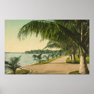 Palm Beach 1898 vintage Florida scene Poster