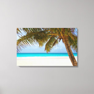 Palm Beach Canvas Print