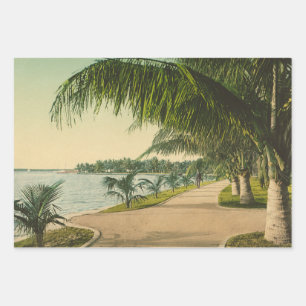 Palm Beach Florida vintage 1898 Wrapping Paper Sheet