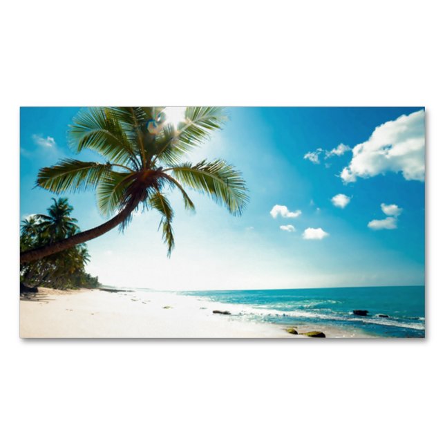 Palm Beach House Rental Travel Agent Spa Boutique Magnetic Business Card (Front)