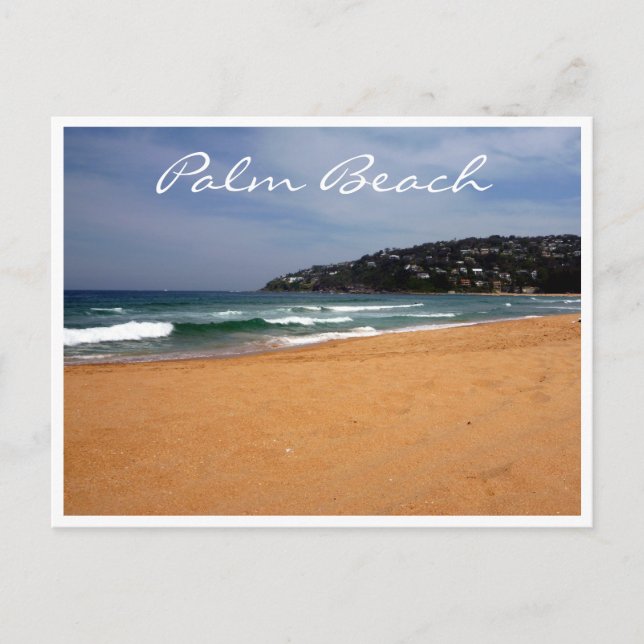 palm beach sands postcard (Front)