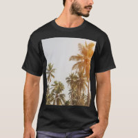 Palm Beach Scenic View
