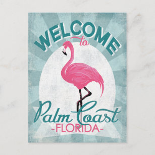 Palm Coast Florida Pink Flamingo Retro Postcard