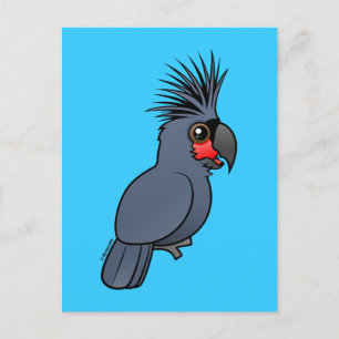 Palm Cockatoo Postcard
