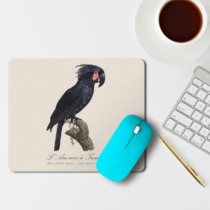 Palm Cockatoo, Probosciger aterrimus parrot, retro Mouse Mat