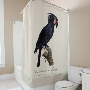 Palm Cockatoo, Probosciger aterrimus parrot, retro Shower Curtain