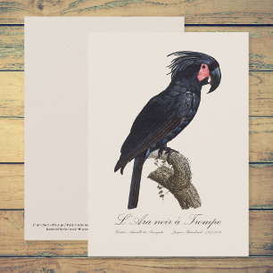 Palm Cockatoo, Probosciger aterrimus parrot, retro Thank You Card